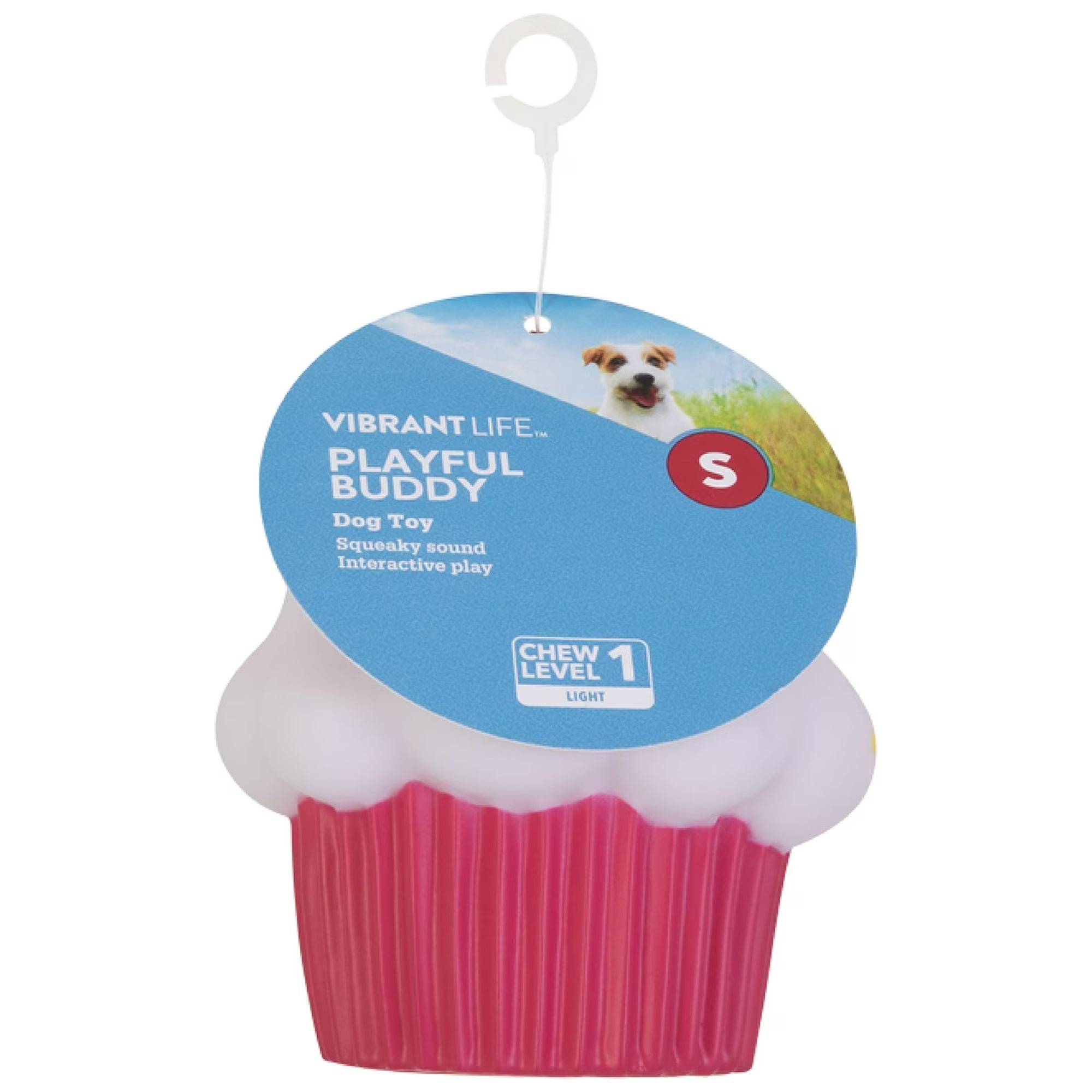 Vibrant Life Squeaky Pastry Rubber Chew Dog Toy, Assorted Designs