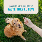 VetIQ Hip & Joint Supplement for Dogs, Chicken Flavored Soft Chews, 7.4 oz, 60 Count