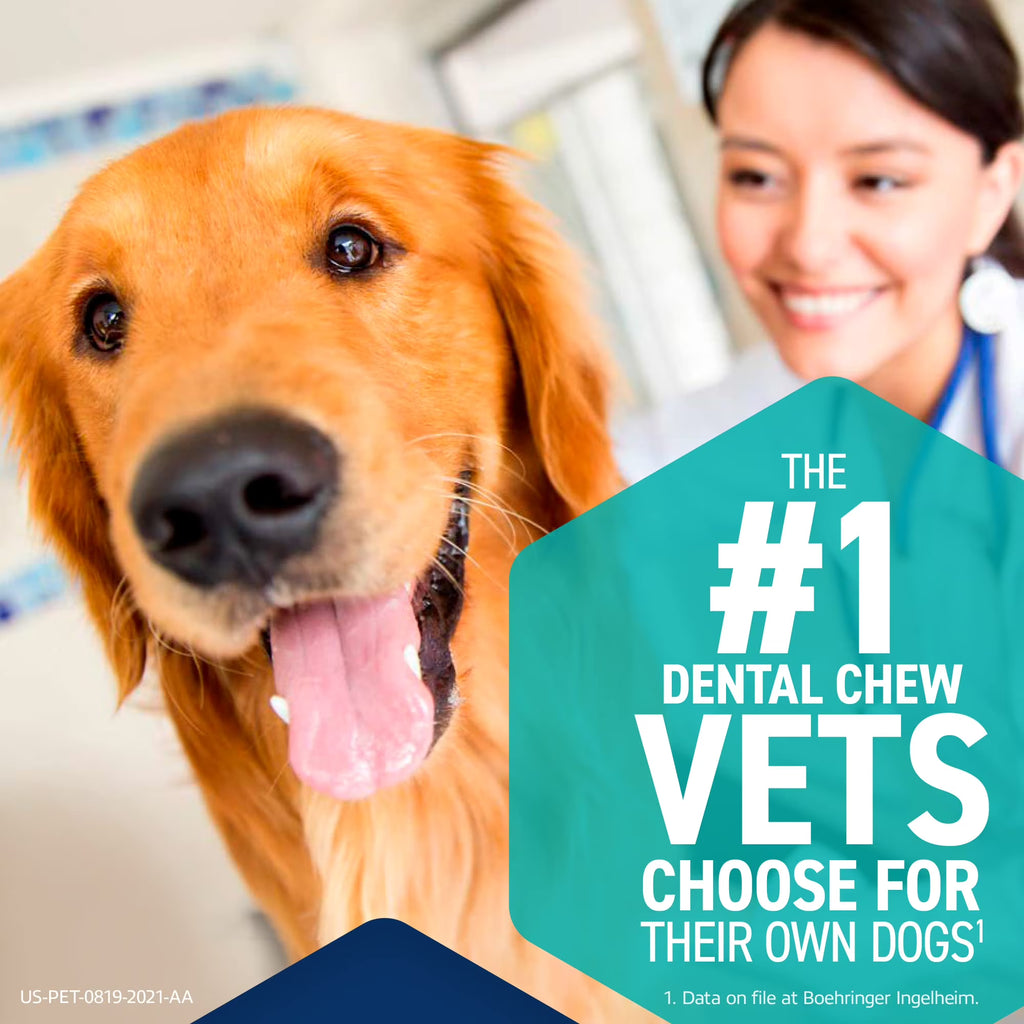 ORAVET Dental Chews for Dogs, Oral Care and Hygiene Chews (Small Dogs, 10-24 lbs.) Blue Pouch