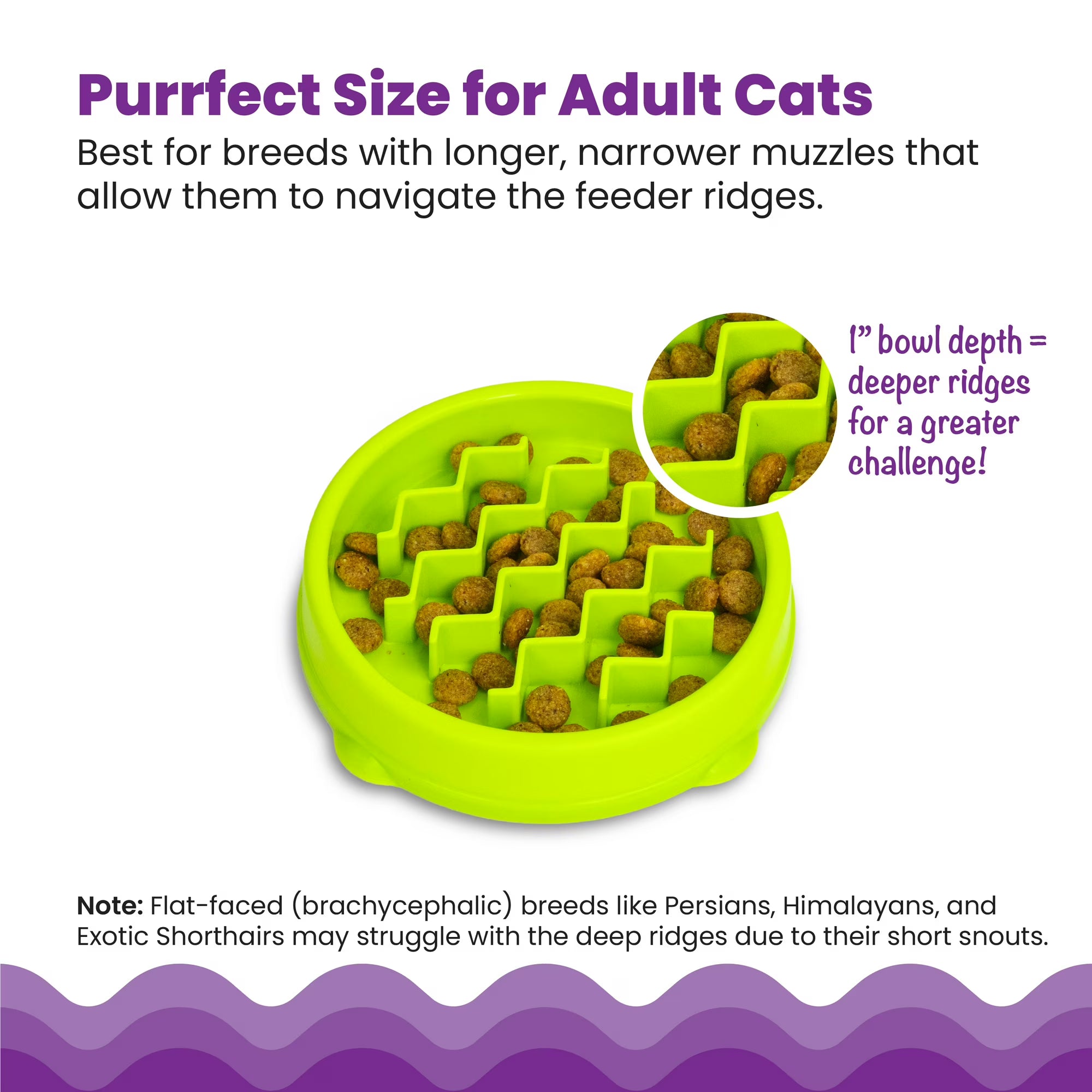 Catstages Kitty Slow Feeder Bowl for Cats & Small Dogs, Puzzle Dish for Fast Eaters, For Wet or Dry Food, Helps Slow Eating & Aid Digestion, Non-Slip, Made Without BPA, 3/4 Cup, 5-Inch